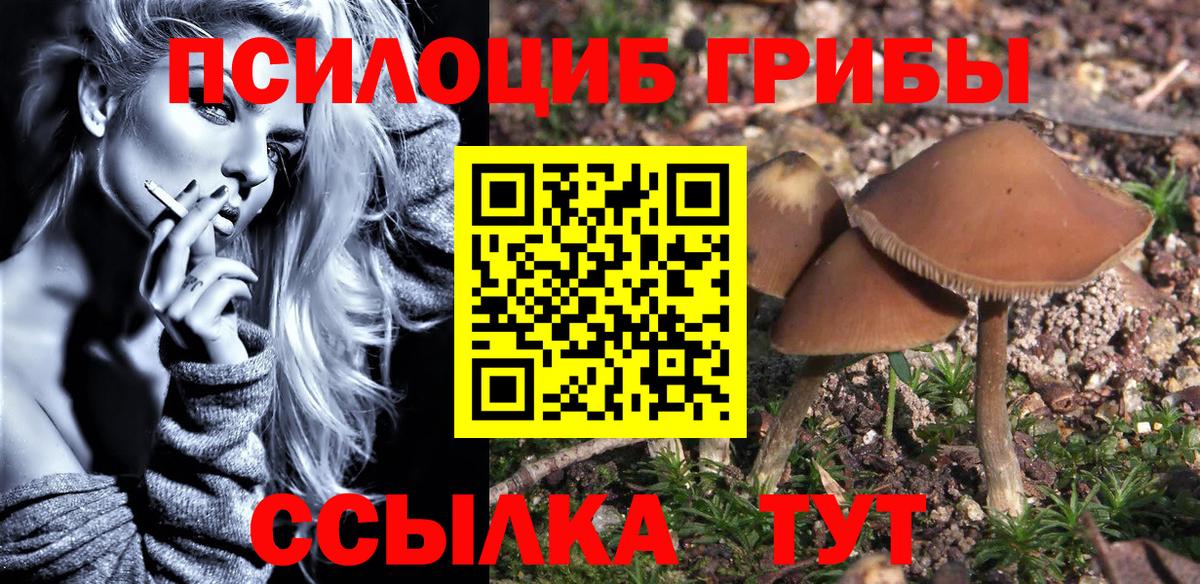 Псилоцибиновые грибы Cubensis Белебей