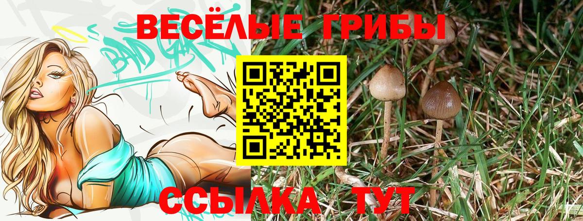 Белебей  Галлюциногенные грибы мицелий  Вход с VPN  Псилоцибиновые грибы GOLDEN TEACHER 